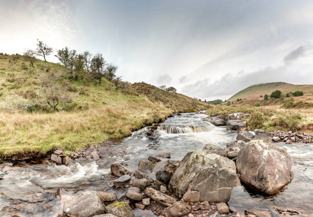 istock Beautiful shot of a river in hills 1462561295