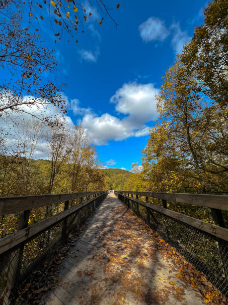 istock Vertical shot of a bridge over a river in Pittsburgh forest with beautiful trees 1462562683