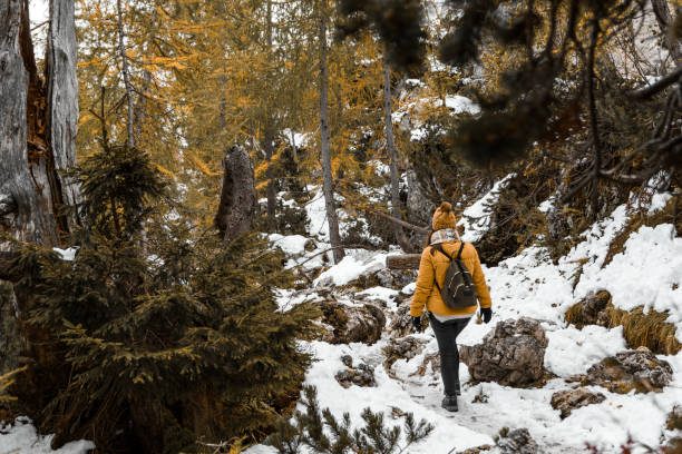istock Female hiker wearing winter clothes and a backpack walking on a snowy path in the forest 1462562914