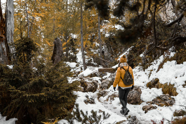 istock Female hiker wearing winter clothes and a backpack walking on a snowy path in the forest 1462562916