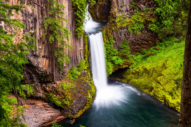 istock Closeup shot of a babbling waterfall in rocks 1462563760