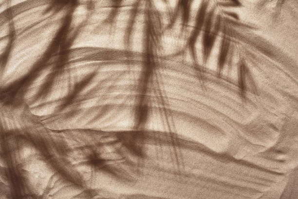 istock Summer concept with a shadow of a tropical palm tree leaves, copyspace on a white beach sand. 1462575307