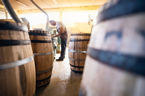 At the wood workshop, a Caucasian male Cooper making oak barrel at the wood workshop