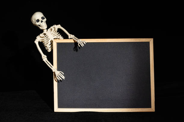 istock Funny human skeleton holding an empty black blank on a black background. Halloween Greeting Card 1462592249
