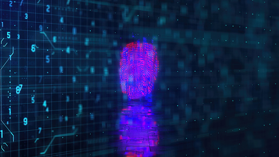 Fingerprint, digital environment, cybersecurity concerns