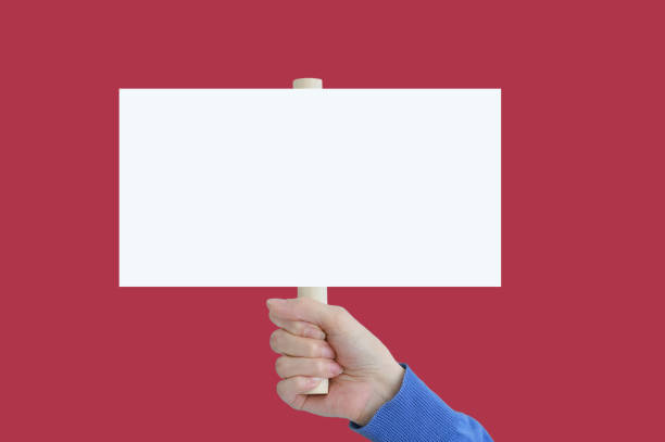 istock Blank white poster in caucasian woman's hand. Red background. 1462607720