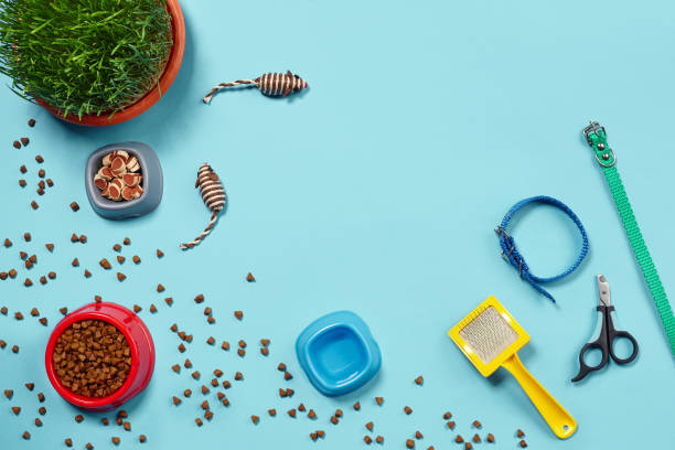 istock Flat lay composition with accessories for a cat on a blue background. Pet care. 1462624976