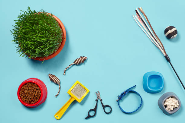 istock Flat lay composition with accessories for a cat on a blue background. Pet care. 1462626202