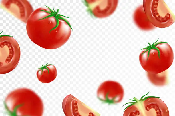 Vector illustration of Tomato background. Falling fresh ripe tomatoes, isolated on transparent background. Selective focus. Flying defocusing red tomato. Applicable for ketchup, juice advertising. Realistic 3d vector