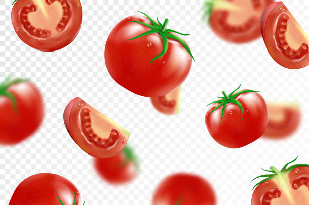 Tomato background. Falling fresh ripe tomatoes, isolated on transparent background. Selective focus. Flying defocusing red tomato. Applicable for ketchup, juice advertising. Realistic 3d vector Tomato background. Falling fresh ripe tomatoes, isolated on transparent background. Selective focus. Flying defocusing red tomato. Applicable for ketchup, juice advertising. Realistic 3d vector tomato slice stock illustrations