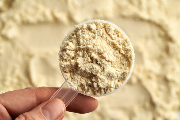 istock Hand holding a measuring cup with whey protein powder 1462628618