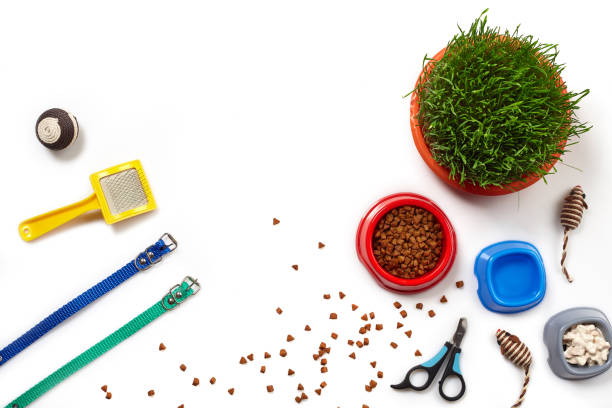istock Flat lay composition with accessories for a cat isolated on white background. Pet care. 1462634515