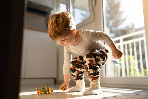 Caucasian toddler boy playing with dinosaur toys