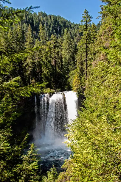 A view of Koosah Falls in the Cascade Mountians (3000 ft above sea level), Oregon.