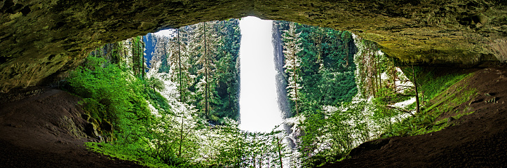 I view from in the cavern that is beneath North Falls during the Spring at Silver Falls State Park in Oregon, USA.