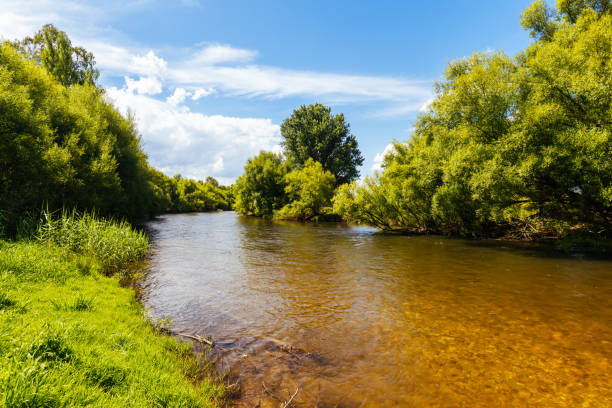 istock Kiewa River in Ovens Valley in Australia 1462644084
