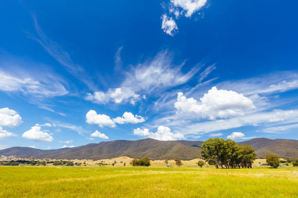 istock Kiewa River in Ovens Valley in Australia 1462644138