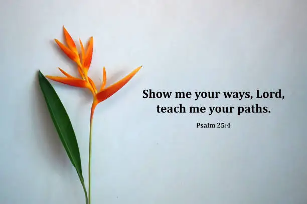Photo of Bible verse quote - Show me your ways, Lord, teach me your paths. Psalm 25:4 with bird of paradise flower on white wall background.