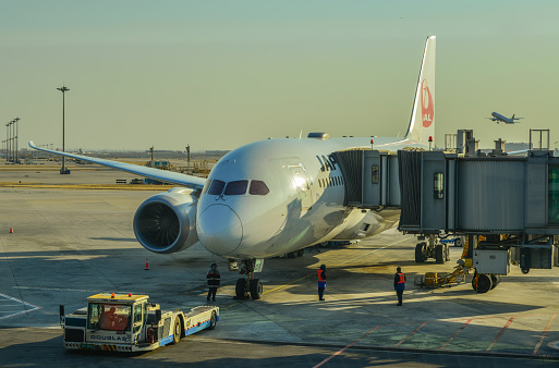 Beijing, China - Mar 1, 2018. A Japan Airlines (JAL) aircraft waiting at Terminal 3 of Beijing Capital Airport (PEK), China.