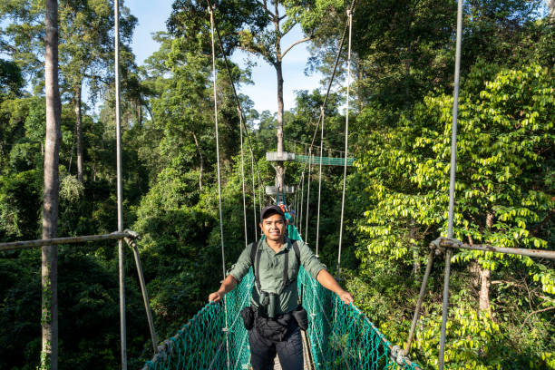 istock Man at Tree Top Canopy walkway in Danum Valley Borneo rainforest 1462655686