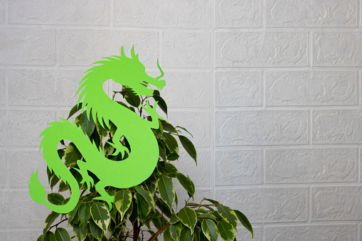 A green paper dragon is hanging on the branches of the ficus Benjamin. The concept of the new year 2024
