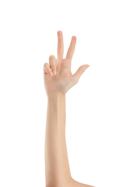 istock Beautiful Woman Hand Shows Three Finger Over White Background 1462661623