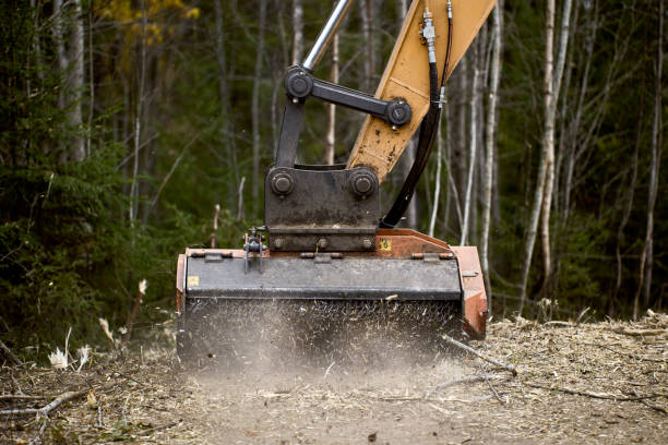 istock Attachable excavator forestry mulching head destroys roadside vegetation. 1462664084