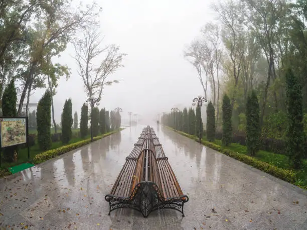 Photo of Wet rainy weather in a modern park. The benches are placed in a row. Beautiful wet and foggy embankment. Foggy rainy autumn landscape with park in Zheleznovodsk. Russia.