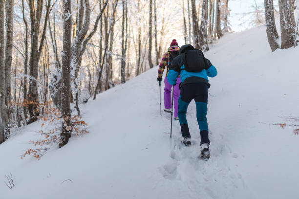istock Two young hikers climbing up a snowy mountain during winter 1462664372