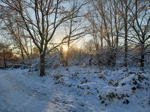 istock Sun shines on a snowy day 1462666293