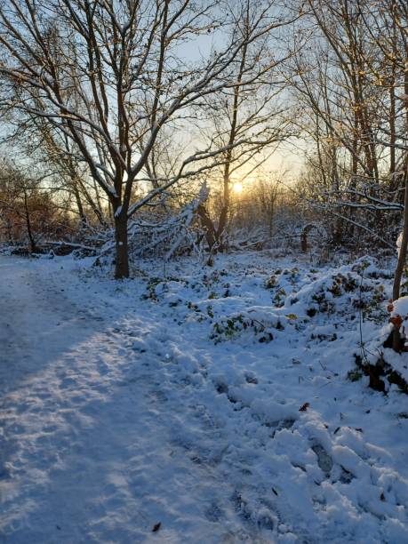 istock Sun shines on a snowy day 1462666297