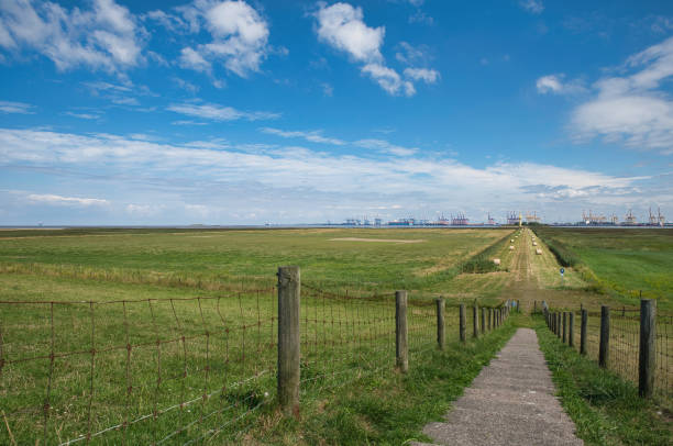 istock bank on the north sea 1462670091