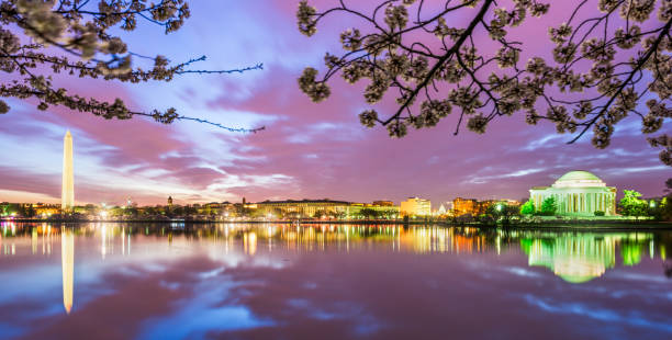 washington dc, stati uniti al bacino di marea - washington dc night jefferson memorial memorial foto e immagini stock