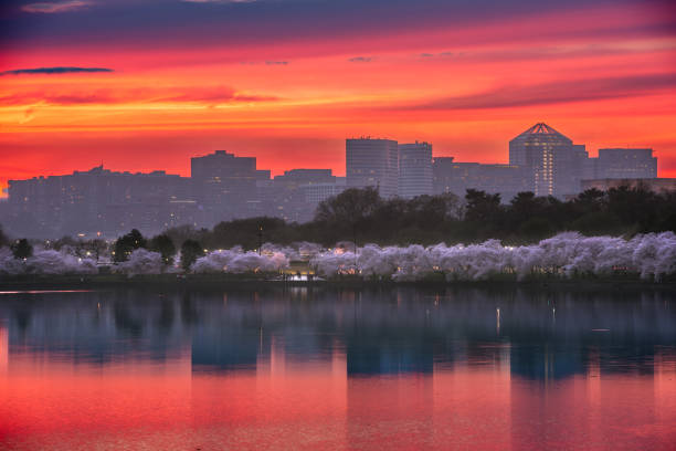 Washington, DC at the Tidal Basin with the Arlington skyline at dusk.