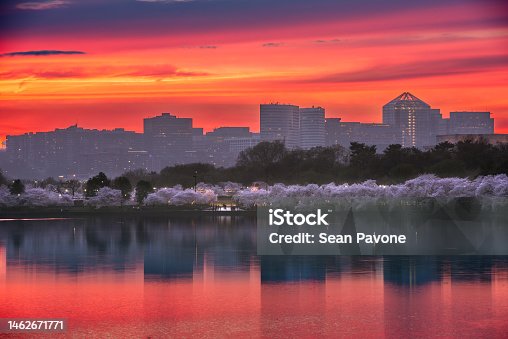 istock Washington, DC at the Tidal Basin with the Arlington Skyline 1462671771
