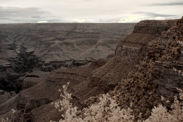 podczerwień sepia tone wielki kanion arizona - national landmark outdoors black and white horizontal zdjęcia i obrazy z banku zdjęć