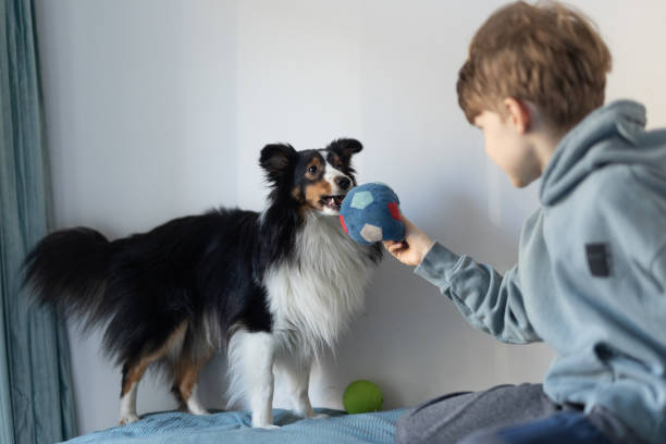 istock Boy Playing Ball With the Dog 1462673892