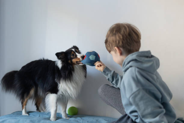 istock Boy Playing Ball With the Dog 1462674062