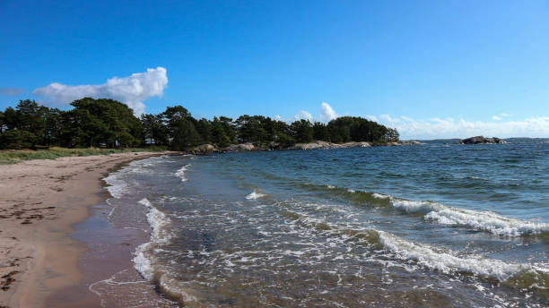 istock Scenic view of beach against blue sky 1462675975