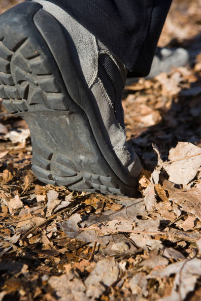 istock Person walking with hiking boots on fallen leaves 1462676394