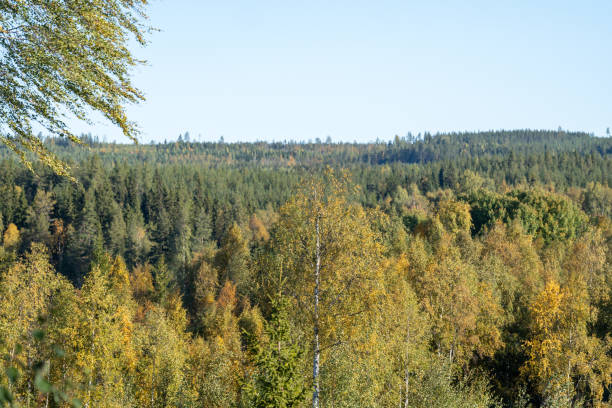 istock North of sweden 1462690553