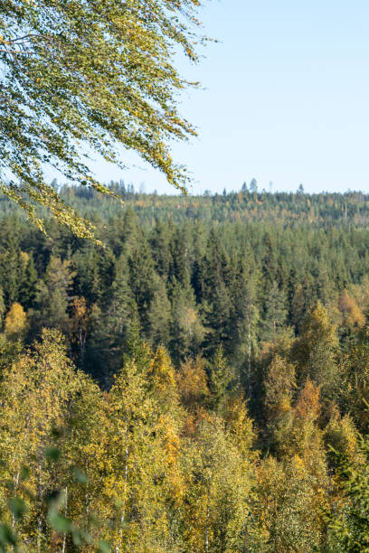 istock North of sweden 1462690989