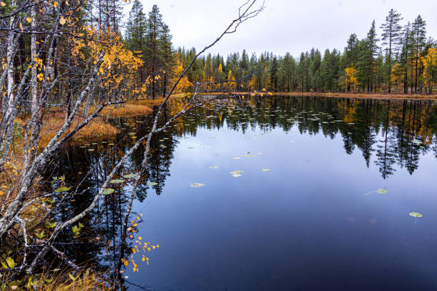 istock North of sweden 1462691105