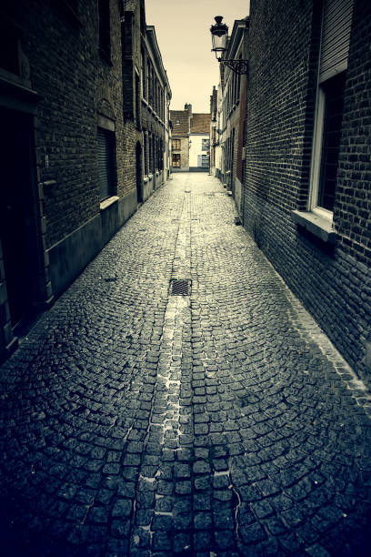 istock Amsterdam alley 1462695289