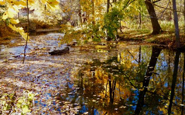 istock VIBRANT AUTUMN BLUE SKY REFLECTION ALONG THE RIVERBANK 1462700977