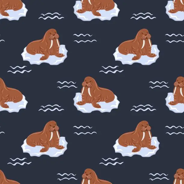 Vector illustration of Seamless pattern with Walruses. Marine dweller. Concept of sea and ocean life