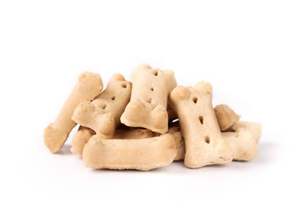 istock Isolated dog milk-bone biscuits in a pile. 1462708848