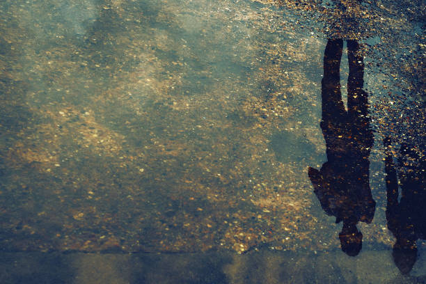 istock Reflections. Defocused blurred background with reflections in the city marsh. 1462709360