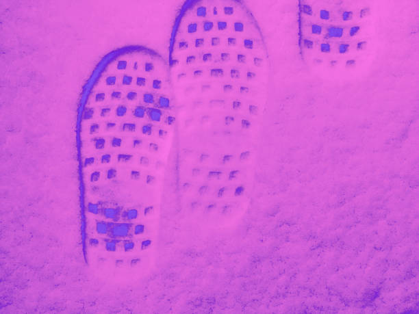 Abstract Purple Hues Foot Prints in Snow