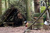 Shelter in the forest